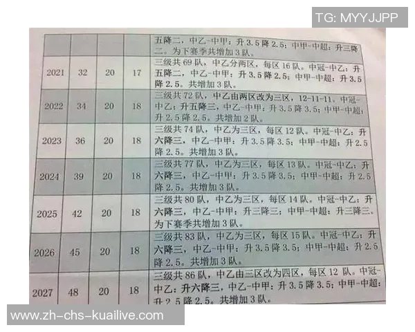 中国足球发展困境与改革路径探讨：从青训到职业联赛的全面分析